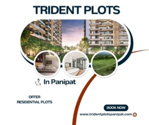 Trident Plots Panipat