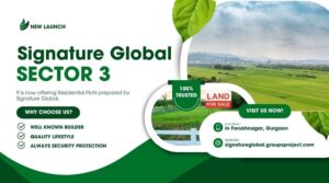 Signature Global Plots